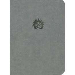 Biblia de Estudio de la Reforma (LBLA, i/piel gris)